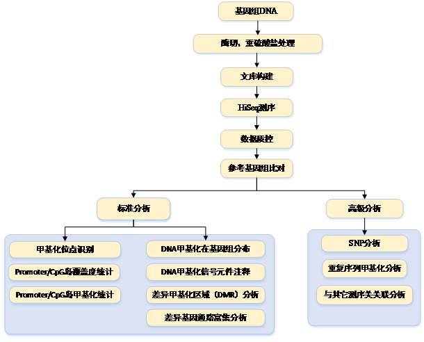 QQ图片20170920145530.png