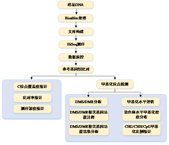 QQ图片20170920144856.png