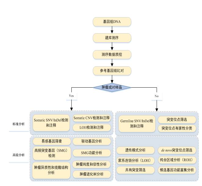 QQ图片20170916152940.png