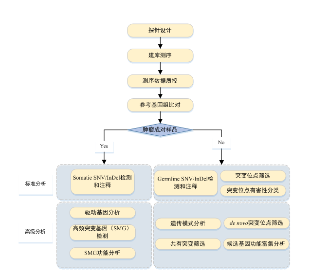 QQ图片20170920142301.png