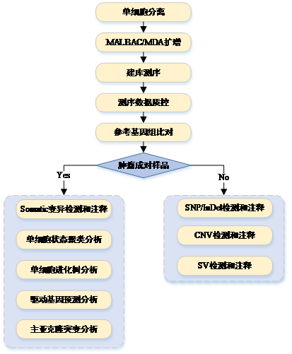 QQ图片20170920143255.png
