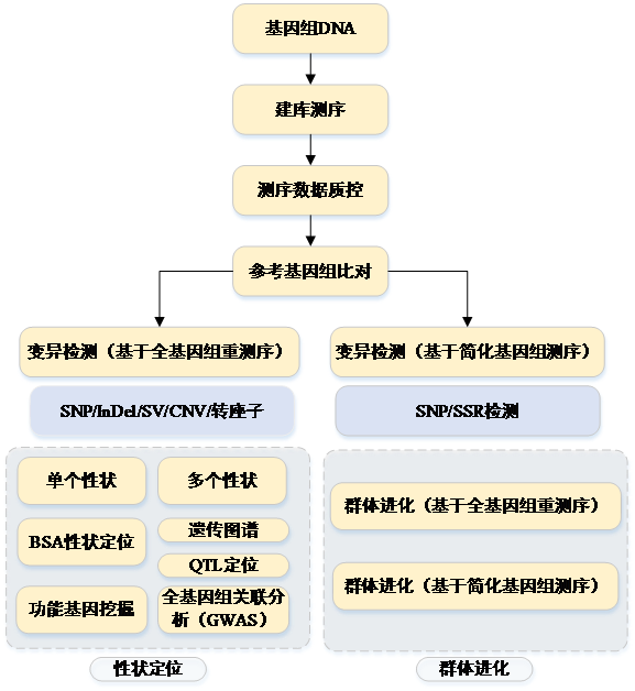 QQ图片20170920142907.png