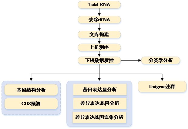 QQ图片20170916163613.png