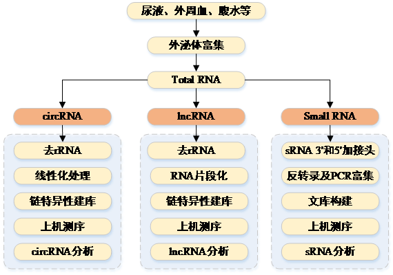 QQ图片20170916163100.png