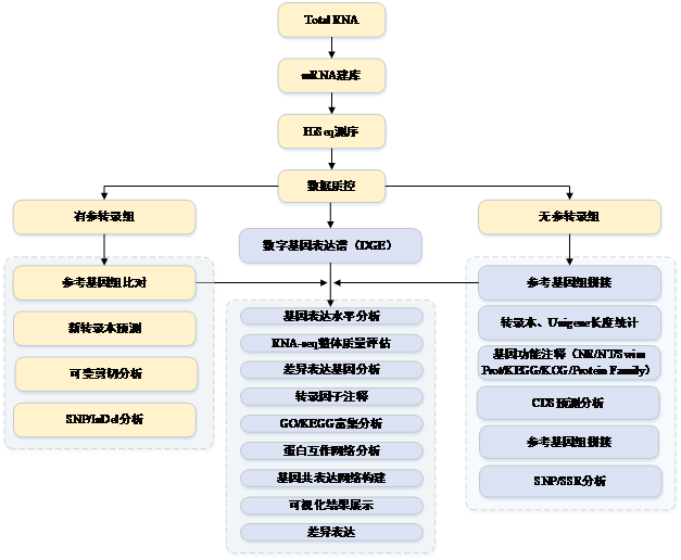 QQ图片20170916160440.png