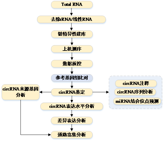 QQ图片20170916162637.png